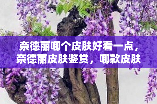 奈德丽哪个皮肤好看一点，奈德丽皮肤鉴赏，哪款皮肤最迷人？
