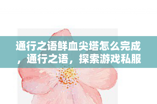 通行之语鲜血尖塔怎么完成，通行之语，探索游戏私服的魅力与风险