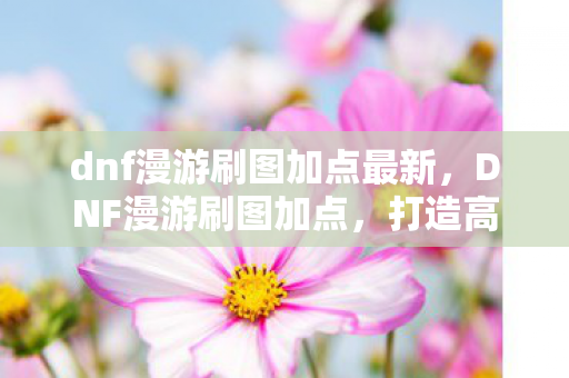 dnf漫游刷图加点最新，DNF漫游刷图加点，打造高效输出的关键策略