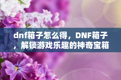 dnf箱子怎么得，DNF箱子，解锁游戏乐趣的神奇宝箱