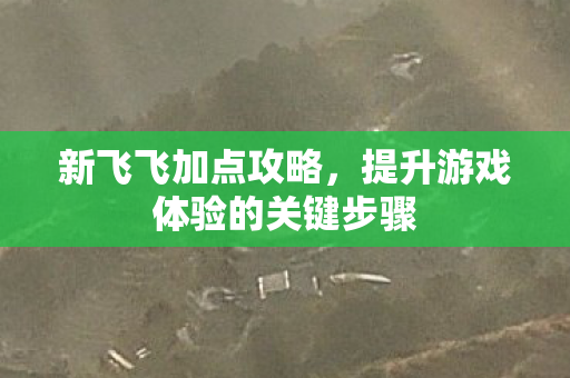 新飞飞加点攻略，提升游戏体验的关键步骤
