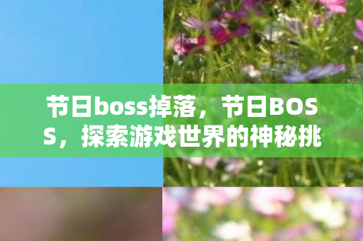 节日boss掉落，节日BOSS，探索游戏世界的神秘挑战