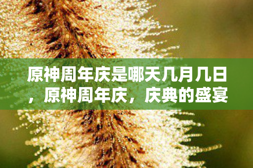 原神周年庆是哪天几月几日，原神周年庆，庆典的盛宴与游戏的未来