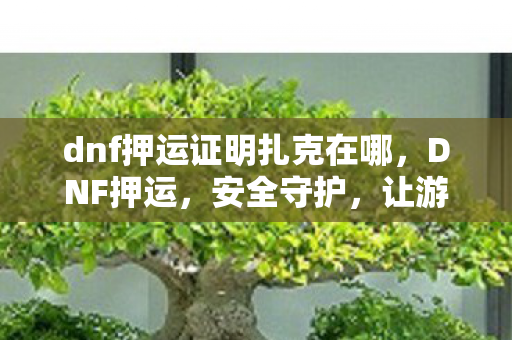 dnf押运证明扎克在哪，DNF押运，安全守护，让游戏更安心