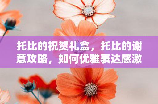 托比的祝贺礼盒，托比的谢意攻略，如何优雅表达感激之情