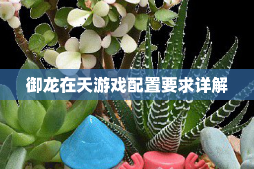 御龙在天游戏配置要求详解