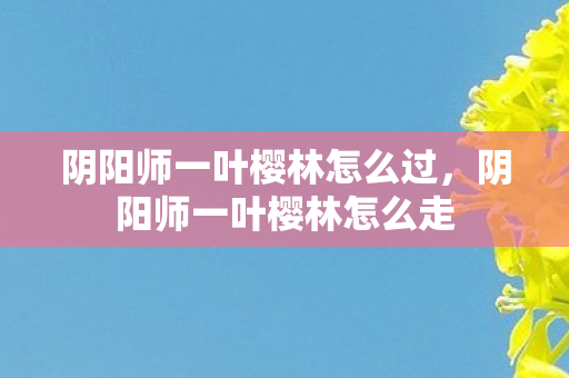 阴阳师一叶樱林怎么过，阴阳师一叶樱林怎么走