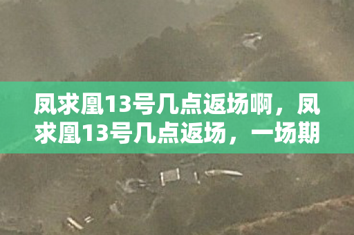 凤求凰13号几点返场啊，凤求凰13号几点返场，一场期待的皮肤盛宴