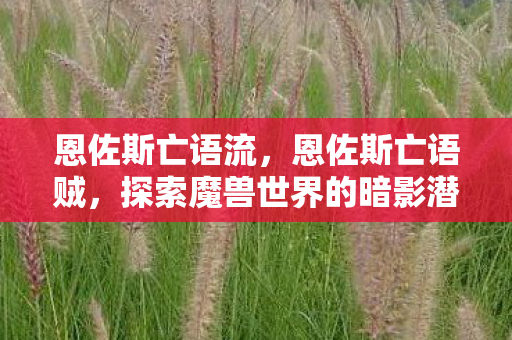 恩佐斯亡语流，恩佐斯亡语贼，探索魔兽世界的暗影潜行艺术