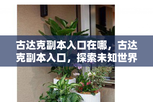 古达克副本入口在哪，古达克副本入口，探索未知世界的神秘门户