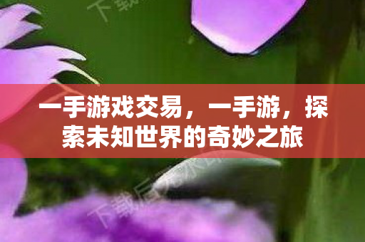 一手游戏交易，一手游，探索未知世界的奇妙之旅