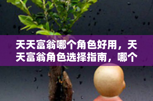 天天富翁哪个角色好用，天天富翁角色选择指南，哪个角色最适合你？