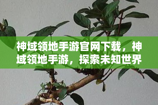 神域领地手游官网下载，神域领地手游，探索未知世界的奇幻之旅