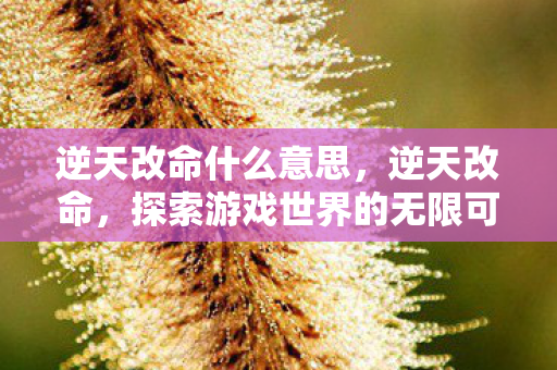 逆天改命什么意思，逆天改命，探索游戏世界的无限可能