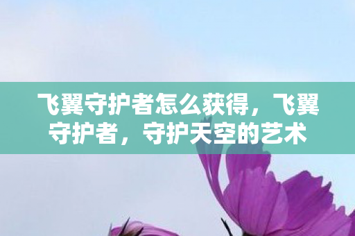 飞翼守护者怎么获得，飞翼守护者，守护天空的艺术