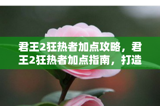 君王2狂热者加点攻略，君王2狂热者加点指南，打造最强角色，征服游戏世界