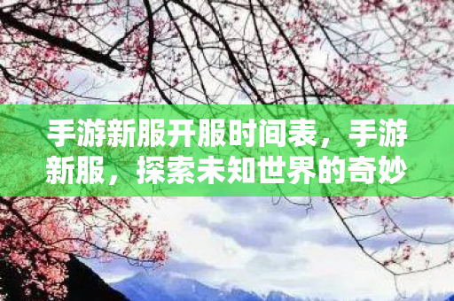 手游新服开服时间表，手游新服，探索未知世界的奇妙之旅