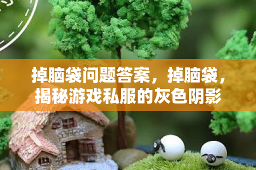 掉脑袋问题答案，掉脑袋，揭秘游戏私服的灰色阴影