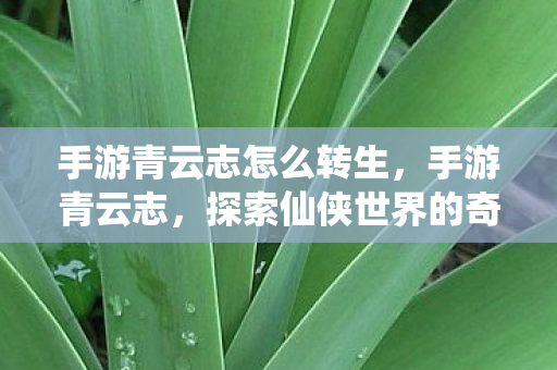 手游青云志怎么转生，手游青云志，探索仙侠世界的奇妙之旅
