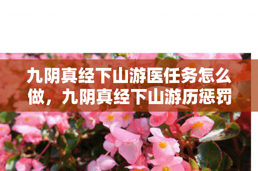 九阴真经下山游医任务怎么做，九阴真经下山游历惩罚，江湖规矩与道德约束
