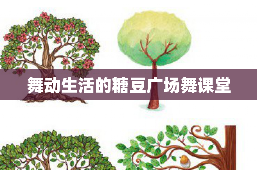 舞动生活的糖豆广场舞课堂