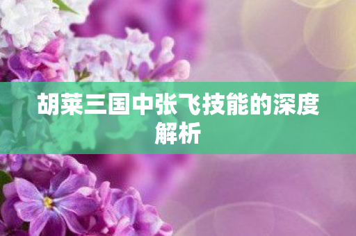 胡莱三国中张飞技能的深度解析