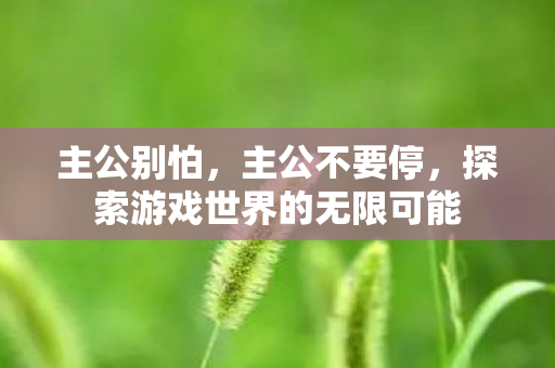 主公别怕，主公不要停，探索游戏世界的无限可能