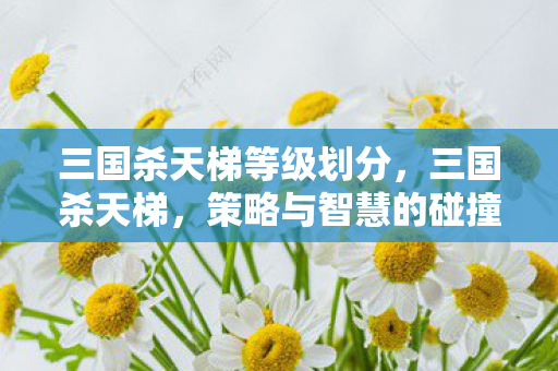 三国杀天梯等级划分，三国杀天梯，策略与智慧的碰撞