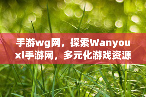 手游wg网，探索Wanyouxi手游网，多元化游戏资源，打造个性化娱乐体验