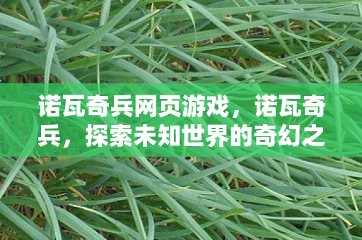诺瓦奇兵网页游戏，诺瓦奇兵，探索未知世界的奇幻之旅