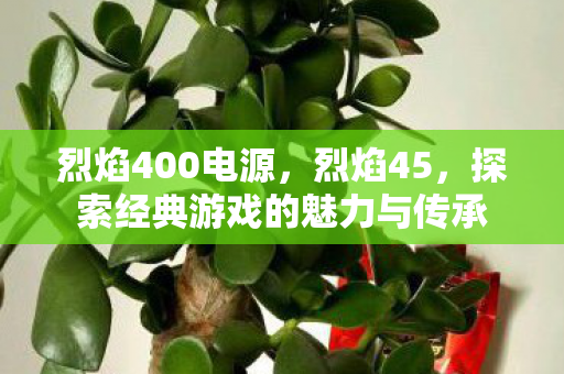 烈焰400电源，烈焰45，探索经典游戏的魅力与传承