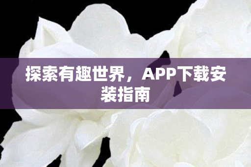 探索有趣世界，APP下载安装指南