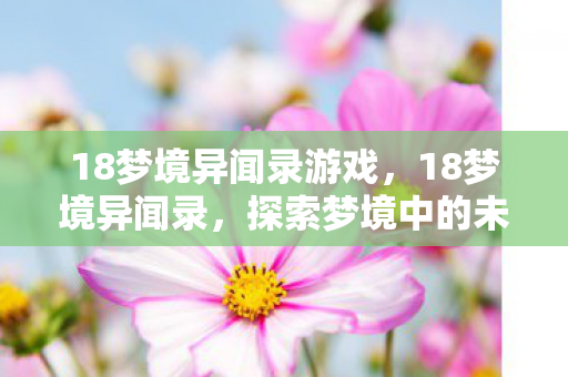 18梦境异闻录游戏，18梦境异闻录，探索梦境中的未知领域