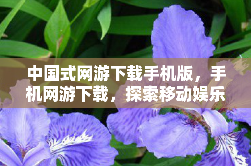 中国式网游下载手机版，手机网游下载，探索移动娱乐的新世界