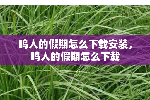 鸣人的假期怎么下载安装，鸣人的假期怎么下载