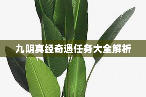 九阴真经奇遇任务大全解析