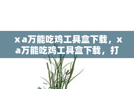 ⅹa万能吃鸡工具盒下载，xa万能吃鸡工具盒下载，打造个性化游戏体验的必备神器