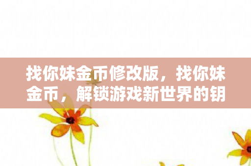 找你妹金币修改版，找你妹金币，解锁游戏新世界的钥匙
