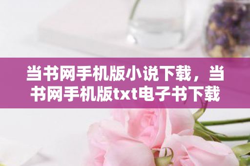 当书网手机版小说下载，当书网手机版txt电子书下载网，便捷阅读的新选择