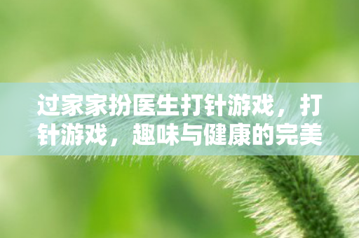 过家家扮医生打针游戏，打针游戏，趣味与健康的完美结合