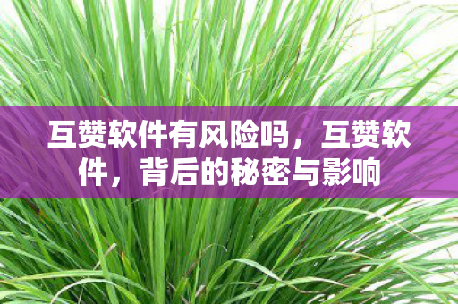 互赞软件有风险吗，互赞软件，背后的秘密与影响