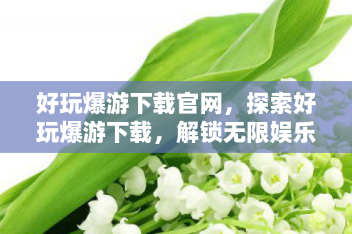 好玩爆游下载官网，探索好玩爆游下载，解锁无限娱乐新体验