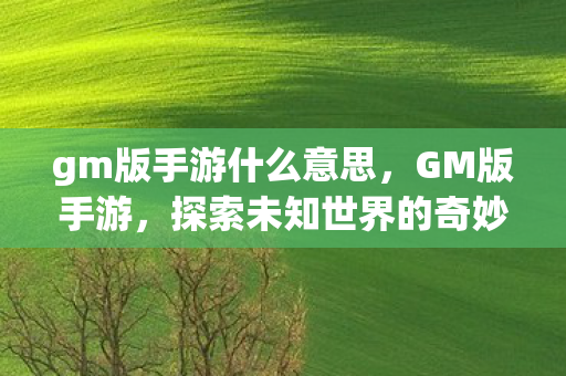 gm版手游什么意思，GM版手游，探索未知世界的奇妙之旅