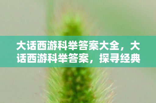 大话西游科举答案大全，大话西游科举答案，探寻经典背后的智慧