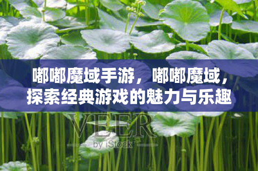 嘟嘟魔域手游，嘟嘟魔域，探索经典游戏的魅力与乐趣