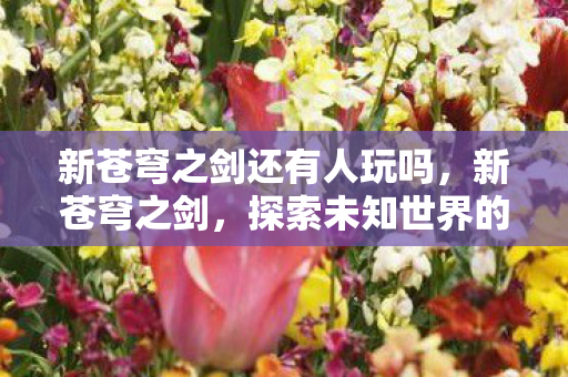 新苍穹之剑还有人玩吗，新苍穹之剑，探索未知世界的奇幻之旅