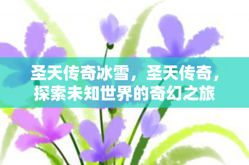 圣天传奇冰雪，圣天传奇，探索未知世界的奇幻之旅