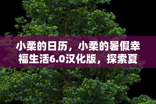 小柔的日历，小柔的暑假幸福生活6.0汉化版，探索夏日乐趣与成长之旅