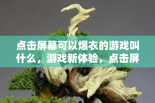 点击屏幕可以爆衣的游戏叫什么，游戏新体验，点击屏幕，角色爆衣！