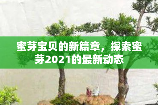 蜜芽宝贝的新篇章，探索蜜芽2021的最新动态